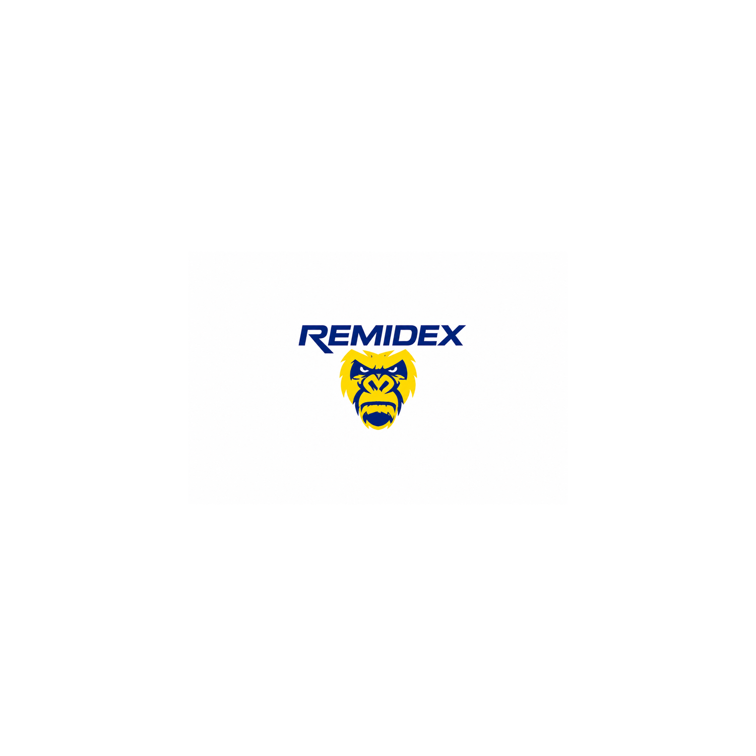 REMIDEX